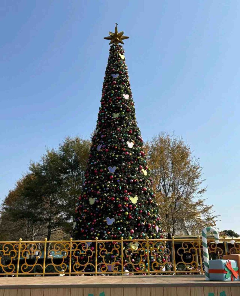 ミッキーのオーナメントがたくさん飾られていて、夜になるとツリー点灯セレモニーが行われます。